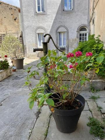 Le Patio Cathare Apartment Carcassonne Luaran gambar