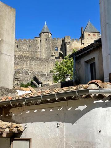 Le Patio Cathare Apartment Carcassonne Luaran gambar